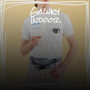 Album Gawky Indoor from Various