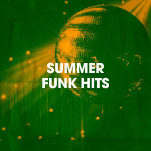 Silver Disco Explosion的專輯Summer Funk Hits