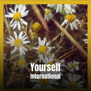 Album Yourself International from Various