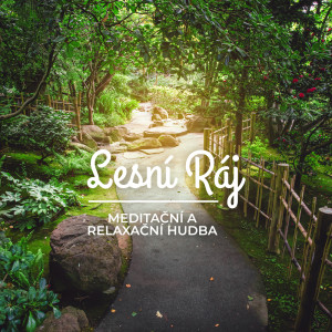 Dengarkan Lesní Ráj lagu dari Meditation Music Zone dengan lirik