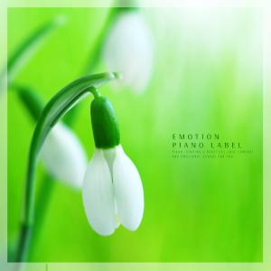 Dengarkan Cherry Blossom Trip lagu dari Flower Garden dengan lirik