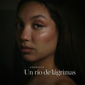 Album Un río de lágrimas from Andreita