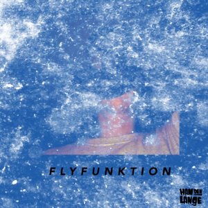 Ham Den Lange的專輯Flyfunktion