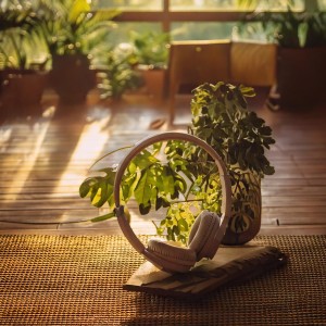 อัลบัม Calm Interlude: Melodies for Relaxation ศิลปิน Elevator Music Playlist