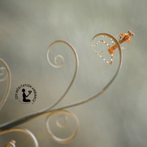 Zen Méditation Ambiance的专辑Lueur d’Étreinte