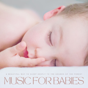 Baby Sleep Through the Night的专辑Music For Babies: A Beautiful Way To Sleep Deeply To The Sounds Of The Forest