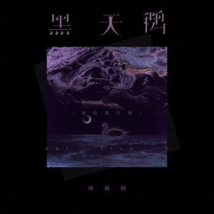 Album 黑天鹅（复仇进行曲） from 周林枫