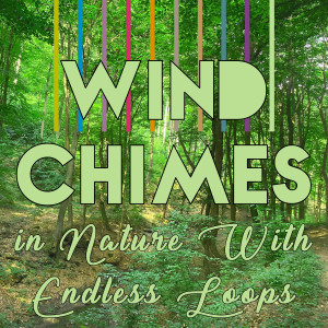 ดาวน์โหลดและฟังเพลง Wind Chimes, Glass, Water and Birds Endless Loop (2 Minutes No Fades) พร้อมเนื้อเพลงจาก Wind Chimes Nature Society