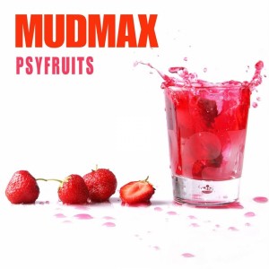 Listen to Criminals song with lyrics from Mudmax