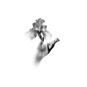 Listen to Fleur de Lis song with lyrics from Allen Constantine
