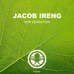 收聽Jacob Ireng的New Sensation歌詞歌曲