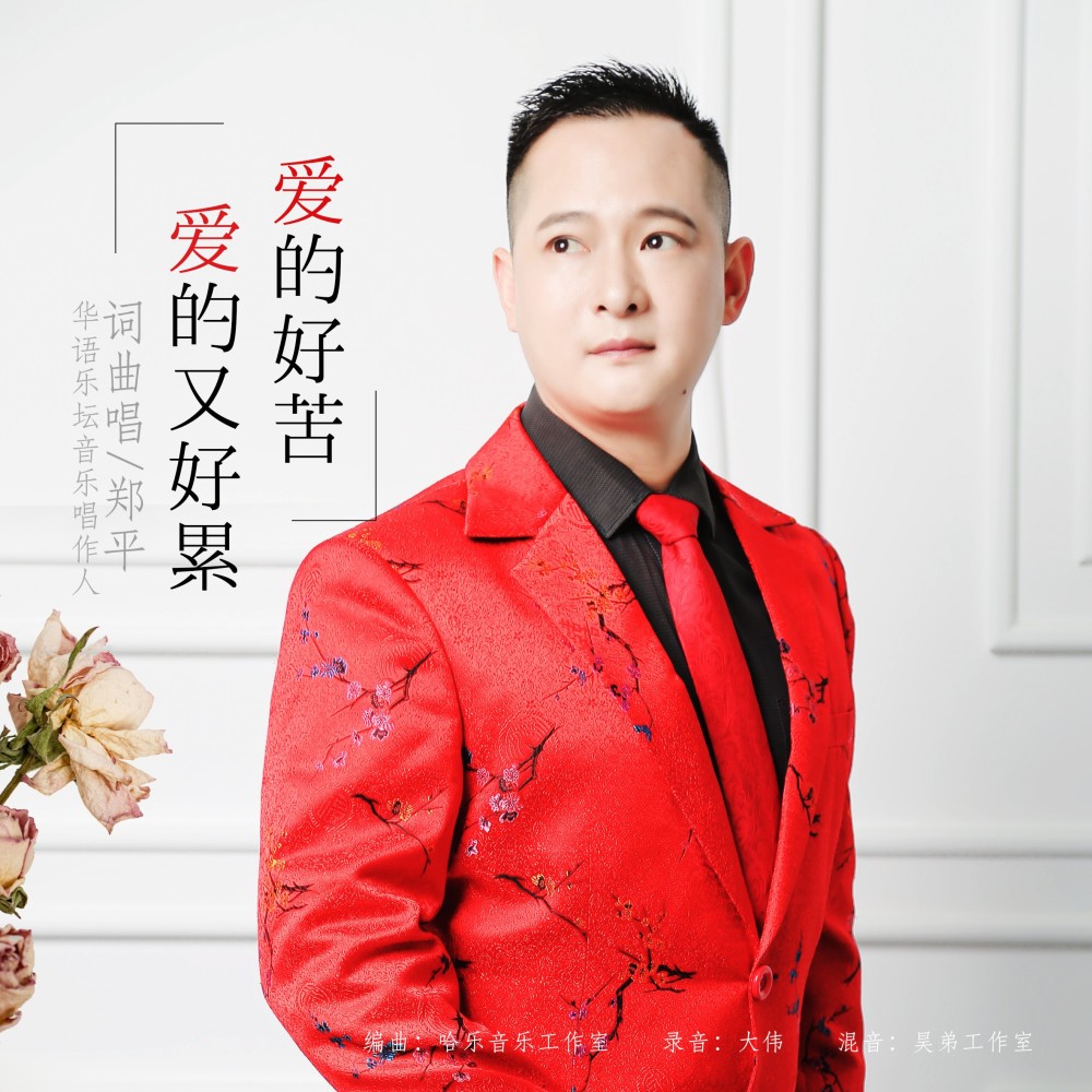 爱的好苦爱的又好累 慢摇 (完整版)