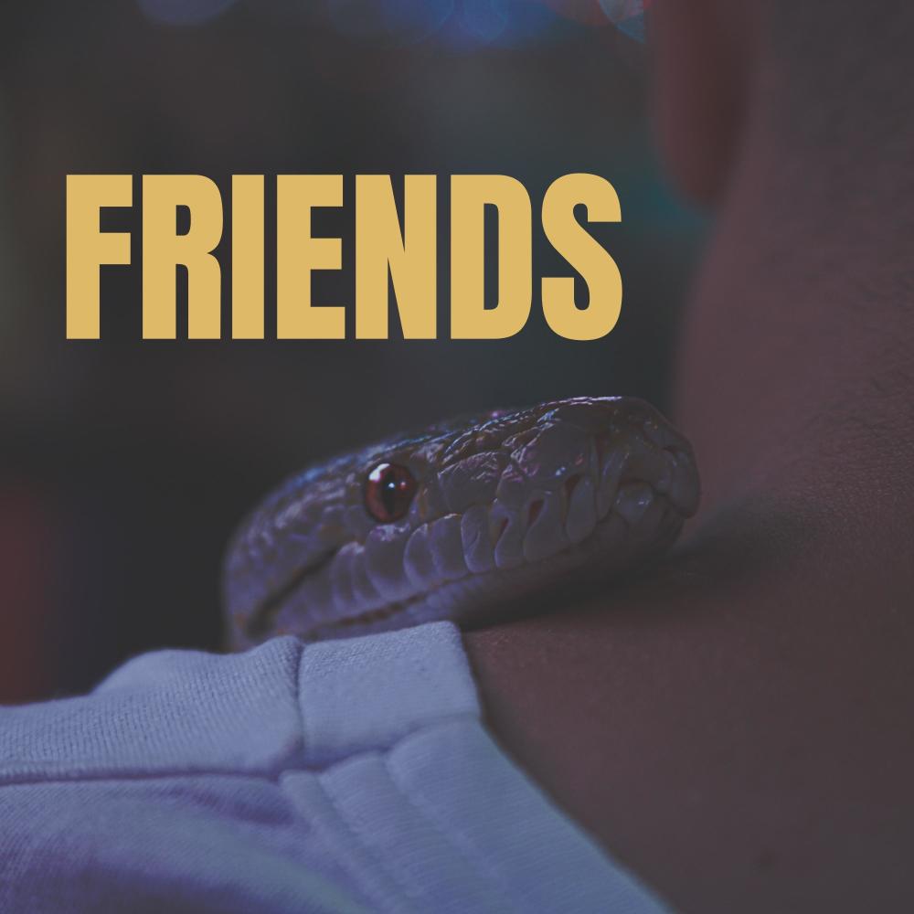 Friends (Explicit)