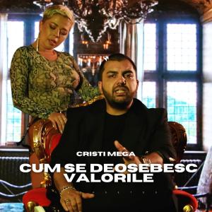 收聽CRISTI MEGA的Cum se deosebesc valorile歌詞歌曲