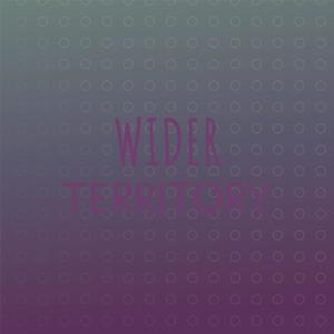 Various Artists的專輯Wider Territory