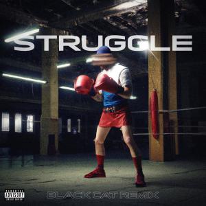 Struggle (feat. ToZ & Feez) [Black Cat Remix] [Explicit]