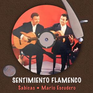 收聽Mario Escudero的Guadalajara歌詞歌曲