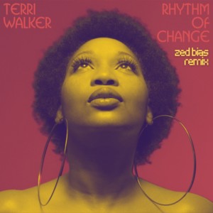 Rhythm of change dari Terri Walker