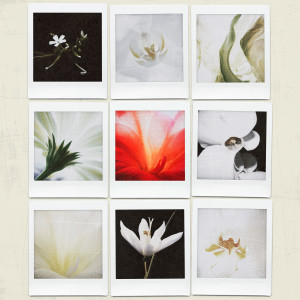Album 더 가까이 from 재온 (JaeOn)