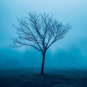 Listen to end of times song with lyrics from De Kai