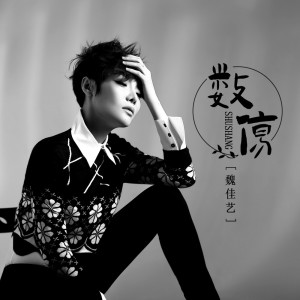 Album 数伤 from 魏佳艺