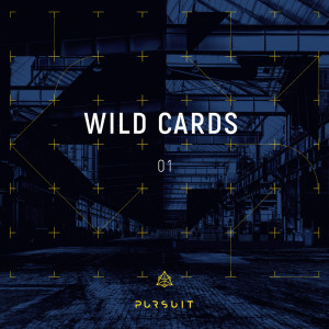 อัลบัม Wild Cards 01 ศิลปิน Luca Gaeta