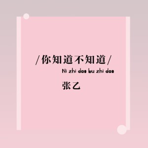 Listen to 你知道不知道 (伴奏) song with lyrics from 张乙