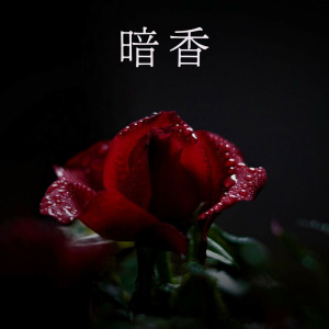 收聽石石的暗香歌詞歌曲