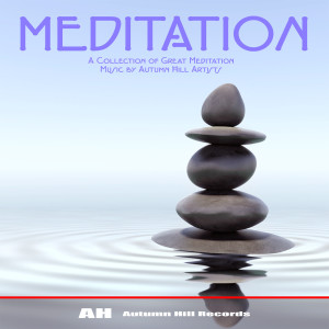 Various Artists的專輯Meditation
