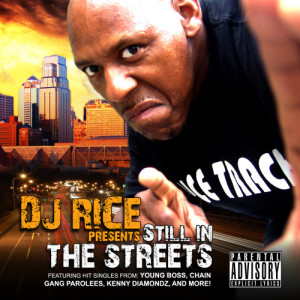 DJ Rice的專輯DJ Rice Presents: Still in the Streets (Explicit)
