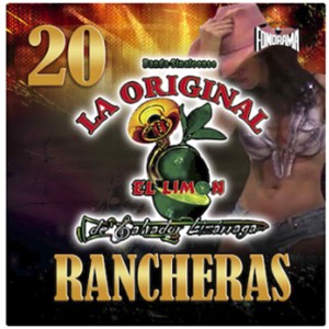 收聽La Original Banda El Limón de Salvador Lizárraga的Pa' Que Me Sirve la Vida歌詞歌曲