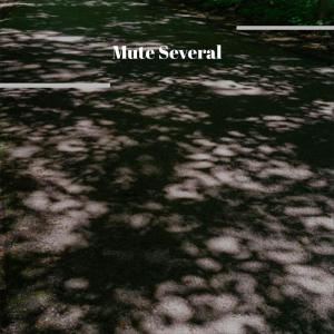 Album Mute Several from Various