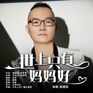 Album 世上只有妈妈好（2025DJ默涵重制版） from 崔建国