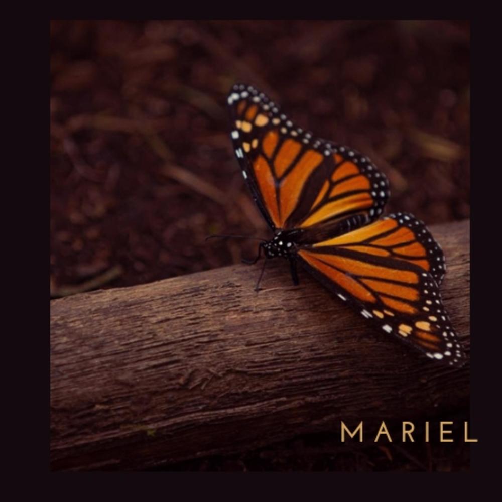 MARIEL Y EL TIEMPO