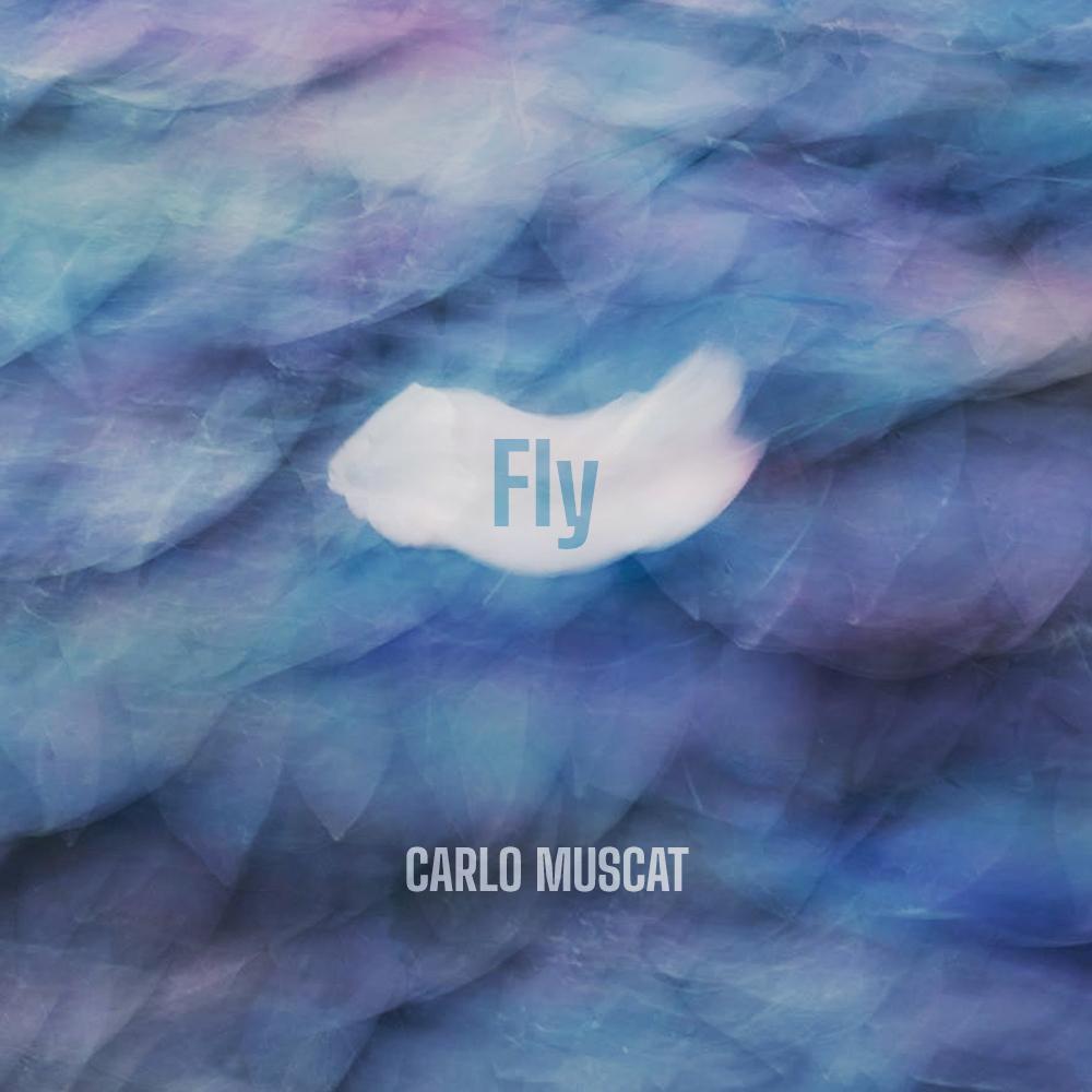 Fly (For Barney)
