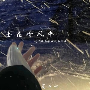 Album 走在冷风中(我没说不代表我不会痛) from 