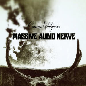 ดาวน์โหลดและฟังเพลง Hoax พร้อมเนื้อเพลงจาก Massive Audio Nerve