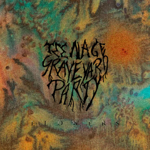 Listen to Raw song with lyrics from Teenage Graveyard Party