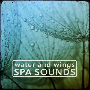 收聽Outside Broadcast Recordings的Sunday Birds歌詞歌曲