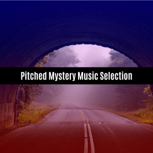 V A的专辑Pitched Mystery Music Selection