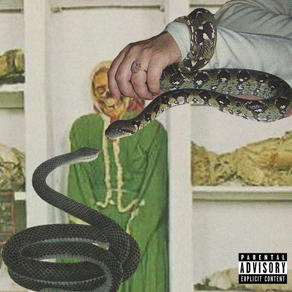 dumb (Explicit)