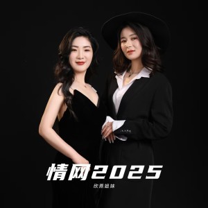Listen to 情网2025 (姐妹版) song with lyrics from 大欣小燕
