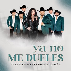 Vicky Terrazas的專輯Ya No Me Dueles