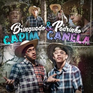 收聽MC Brinquedo的Capim Canela (Explicit)歌詞歌曲