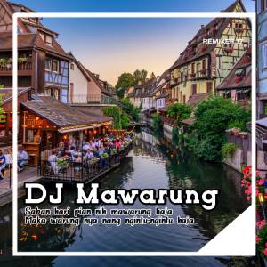 Album DJ SABAN HARI PIAN NIH MAWARUNG HAJA (DJ Mawarung Banjar) from REMIXER 17