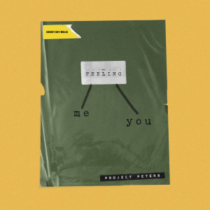 Project Peters的专辑Feeling Me Feeling You