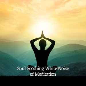Listen to Travel White Noise song with lyrics from White Noise Healing Power