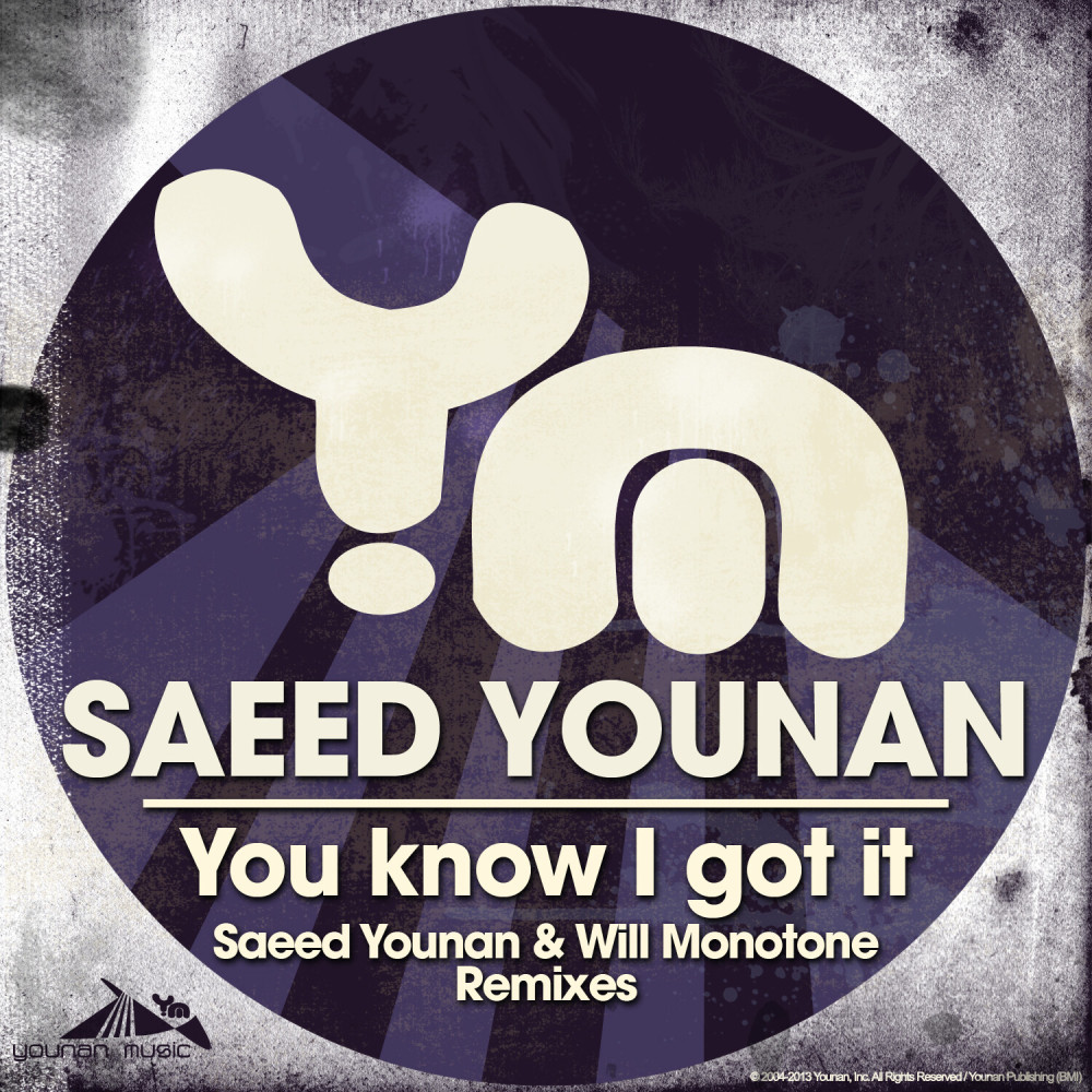 You Know I Got It (Will Monoton Remix)