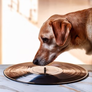 Dream Keys的專輯Piano Music For Playful Paws