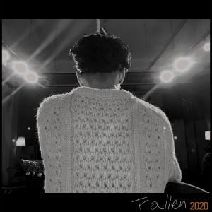 김신일的专辑Fallen 2020